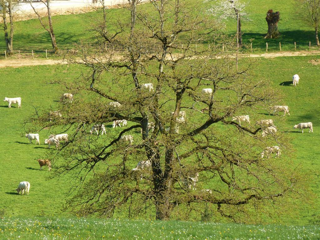 Séjour à la ferme Oeno-tonneaux Lugny